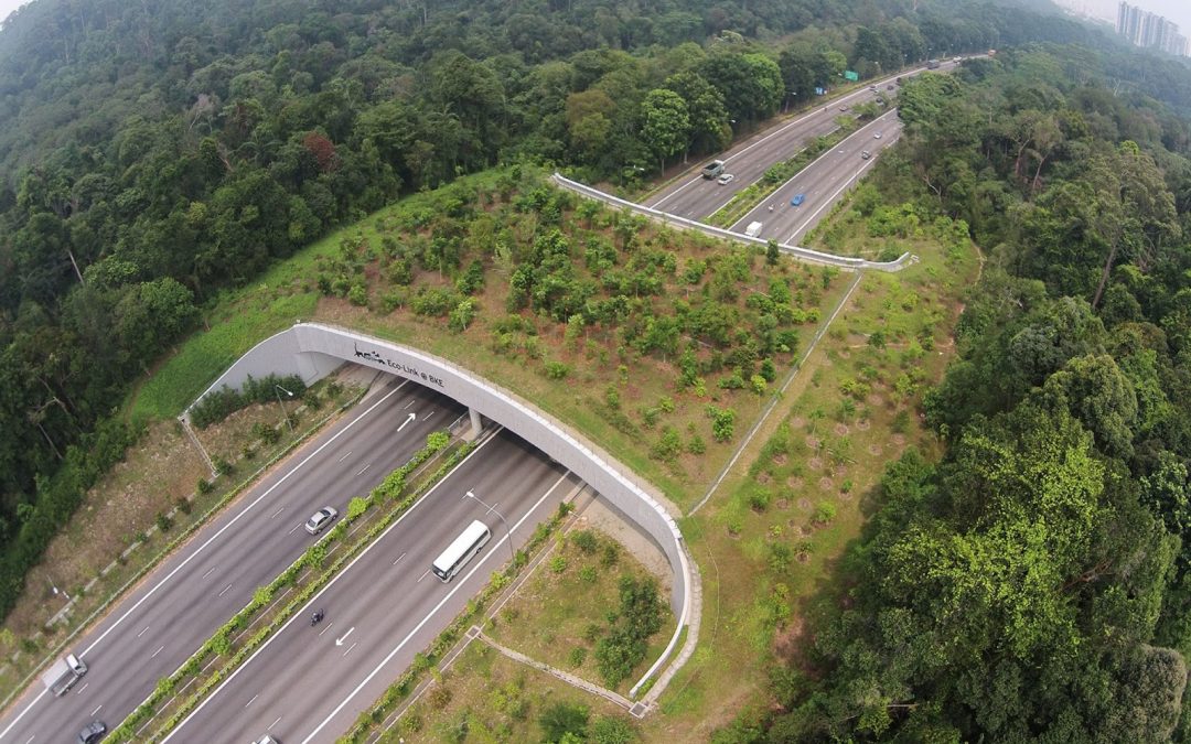 INFRAESTRUCTURA VERDE DE MEJORA DE LA CONECTIVIDAD ENTRE DOS ESPACIOS NATURALES DE RED NATURA 2000: URBASA Y ANDÍA